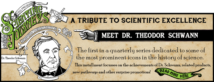 Meet Dr. Theodor Scwann!