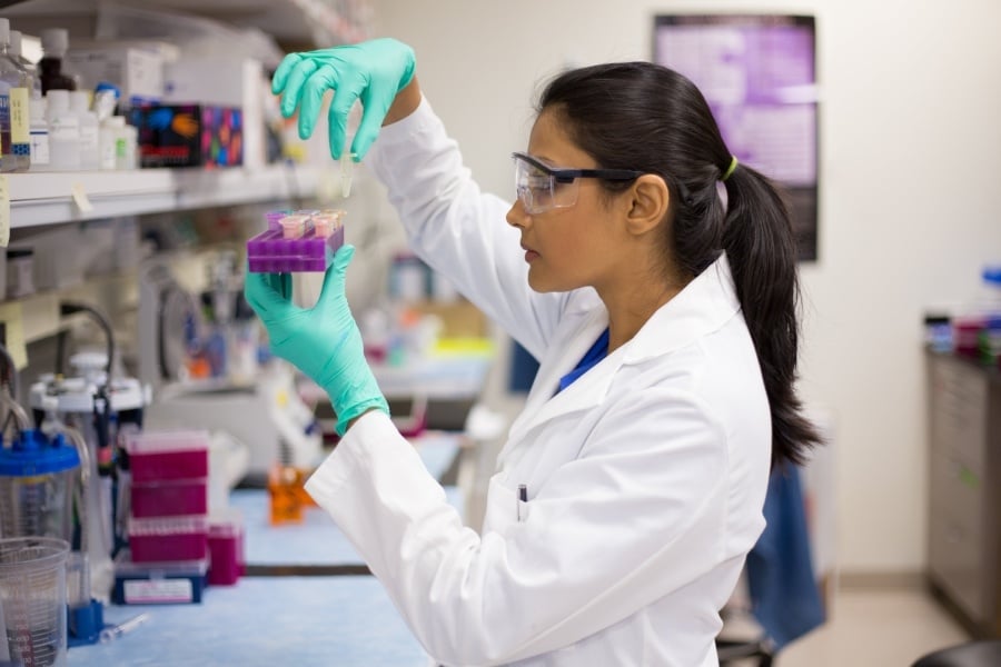 Antibody Manufacturing: The Power of Small Peptides