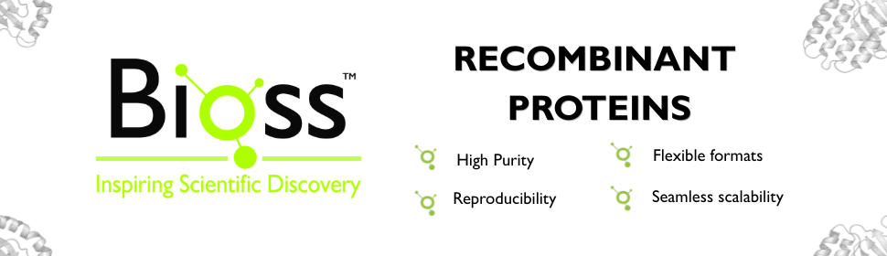 Recombinant Proteins