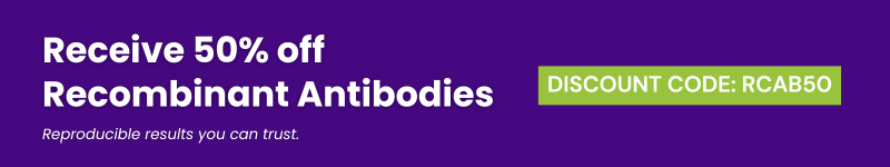 Recombinant Antibodies