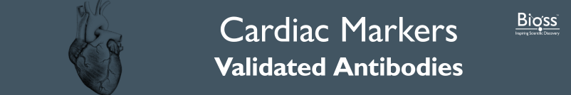 Cardiac Markers