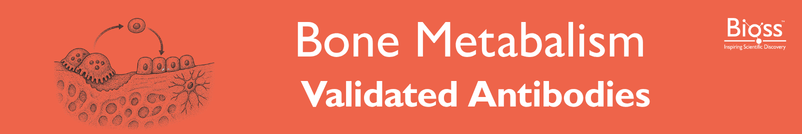 Bone Metabolism