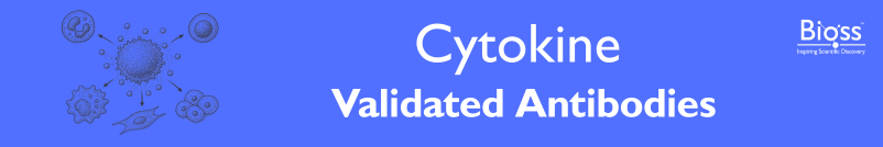 Cytokine