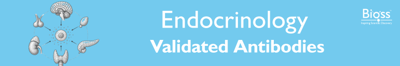 Endocrinology