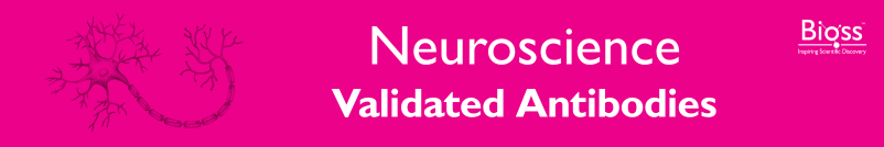 Neuroscience