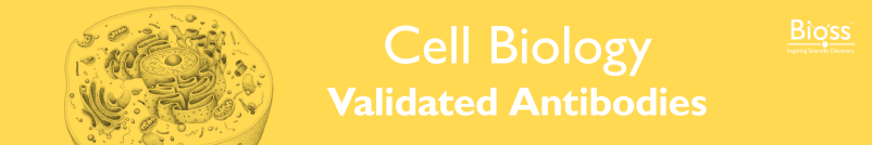 Cell Biology