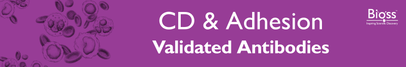 CD & Adhesion Molecule