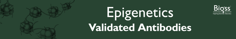 Epigenetics