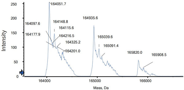 Anti-human LAG-3 & PD-1 (Tebotelimab Biosimilar)