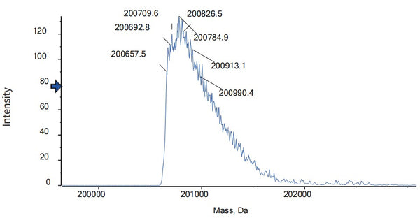 Anti-human CD3 & GD2 (Nivatrotamab Biosimilar)