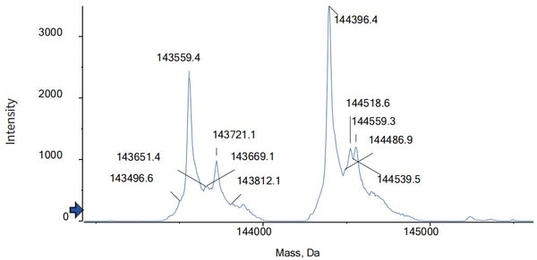 Anti-human CA125 & CD3 (Ubamatamab Biosimilar)