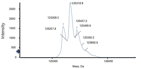 Anti-human CTLA4 & PD-1 (Vudalimab Biosimilar)
