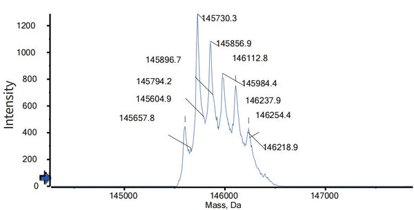 Anti-human CD28 & PSMA (Nezastomig Biosimilar)