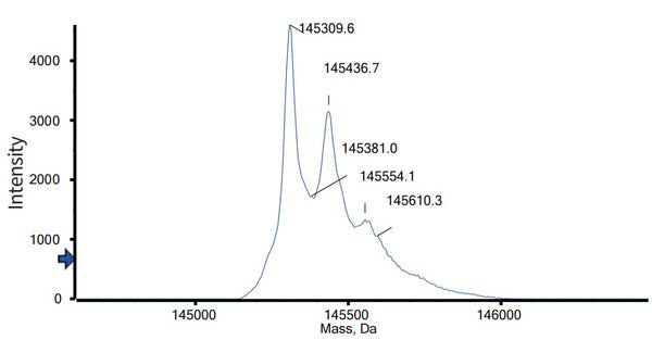 Anti-human B7-H3 & EGFR (Ibi-334 Biosimilar)