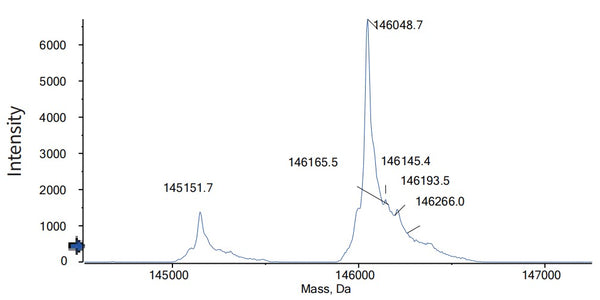 Anti-human CD20 & CD3e (Mosunetuzumab Biosimilar)