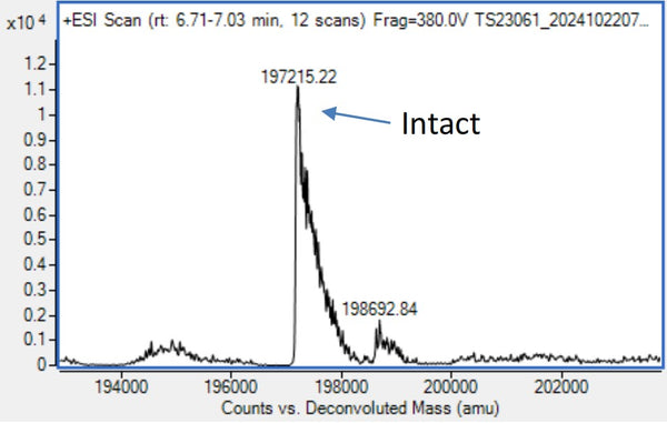 Anti-human EGFR & HER3 (Izalontamab Biosimilar)