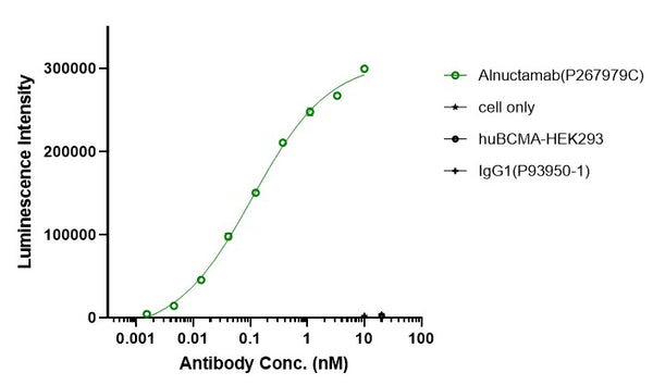 Anti-human BCMA & CD3 (Alnuctamab Biosimilar)