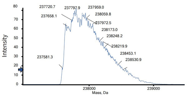Anti-human cMet & EGFR (Emb01 Biosimilar)