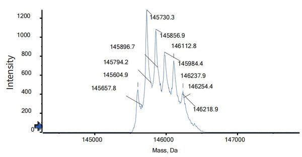 Anti-human CD20 & CD47 (Amulirafusp alfa Biosimilar)
