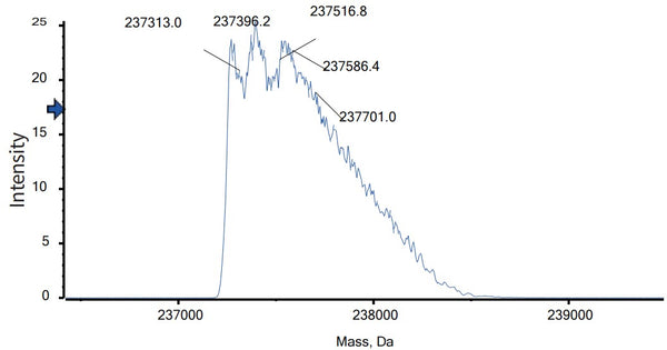 Anti-human LAG-3 & PD-1 (Emb-02 Biosimilar)