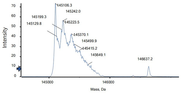 Anti-human PD-1 & TIM-3 (Lomvastomig Biosimilar)