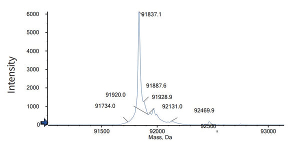 Anti-human CD3 & DLL3 (Tarlatamab Biosimilar)