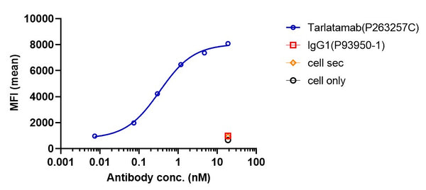 Anti-human CD3 & DLL3 (Tarlatamab Biosimilar)