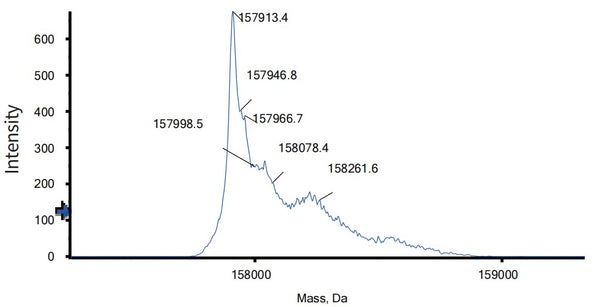 Anti-human 4-1BB & TPBG/5t4 (Apv-527 Biosimilar)