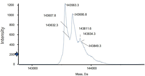 Anti-human PD-1 & PD-L1 (Reozalimab Biosimilar)