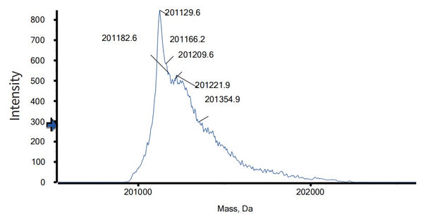 Anti-human PD-1 & VEGF (Ivonescimab Biosimilar)