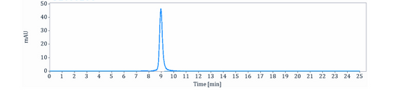 Anti-human PD-1 & VEGF (Ivonescimab Biosimilar)