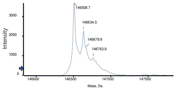 Anti-human CTLA4 & PD-1 (Volrustomig Biosimilar)