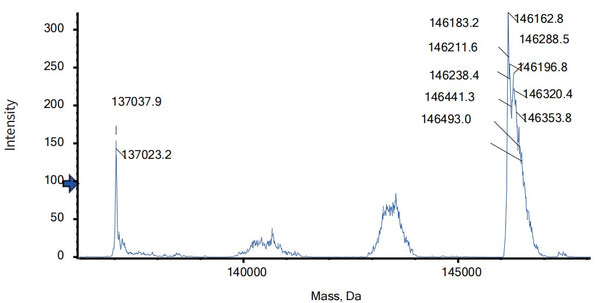 Anti-human Ang2 & VEGFA (Faricimab Biosimilar)