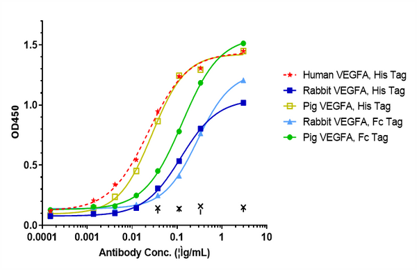 Anti-human Ang2 & VEGFA (Faricimab Biosimilar)