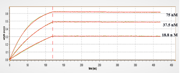 Anti-human Ang2 & VEGFA (Faricimab Biosimilar)
