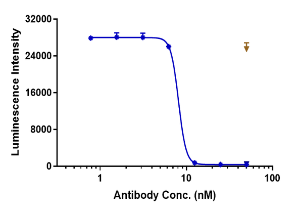 Anti-human Ang2 & VEGFA (Faricimab Biosimilar)