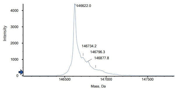 Anti-human ANG2 & VEGFA (Vanucizumab Biosimilar)