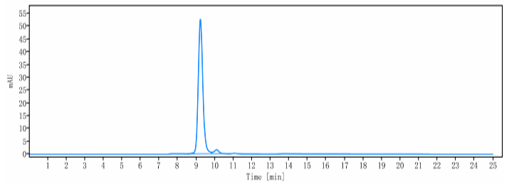 Anti-human ANG2 & VEGFA (Vanucizumab Biosimilar)