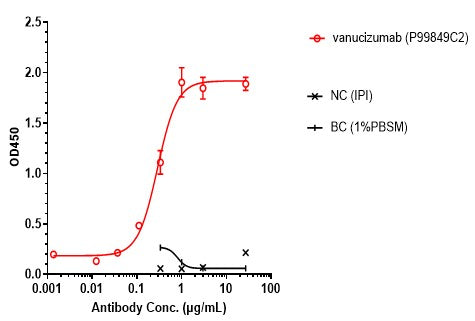 Anti-human ANG2 & VEGFA (Vanucizumab Biosimilar)