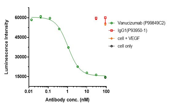 Anti-human ANG2 & VEGFA (Vanucizumab Biosimilar)