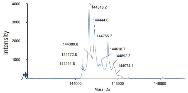 Anti-human GPRC5D & CD3 (Talquetamab Biosimilar)