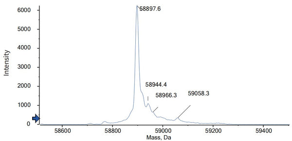 Anti-human CD123 & CD3 (Flotetuzumab Biosimilar)