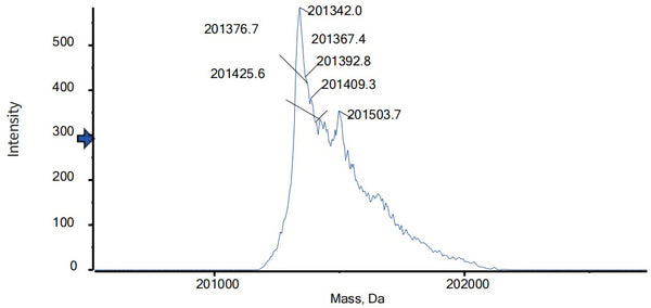Anti-human BAFF & IL-17A (Tibulizumab Biosimilar)