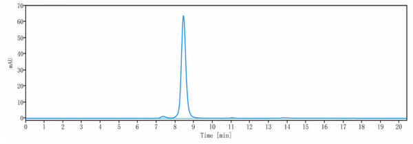 Anti-human EGFR & Fc-gamma-RIIIA (AFM24 Biosimilar)