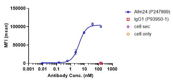 Anti-human EGFR & Fc-gamma-RIIIA (AFM24 Biosimilar)