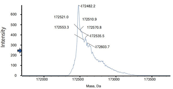 Anti-human PD-L1 & VEGF (Pm8002 Biosimilar)