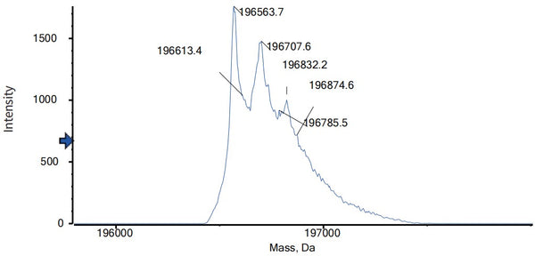 Anti-human IL1a & IL1b (Lutikizumab Biosimilar)