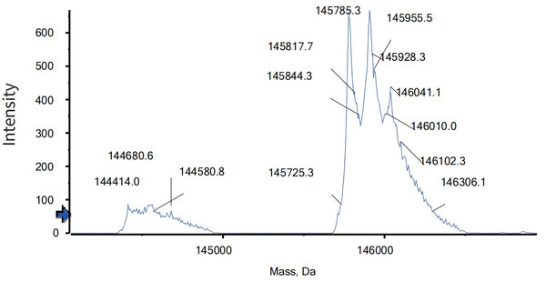 Anti-human PD-1 & TIGIT (Rilvegostomig Biosimilar)