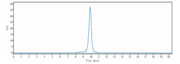 Anti-human PD-1 & TIGIT (Rilvegostomig Biosimilar)