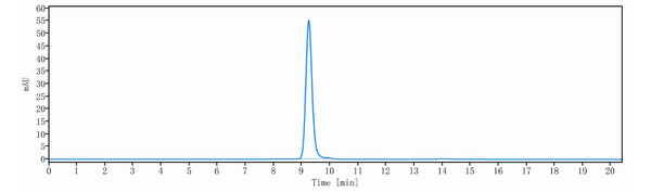 Anti-human BCMA & CD3 (Elranatamab Biosimilar)